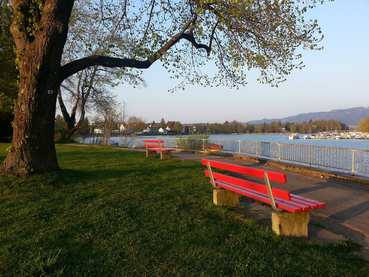 足球界的哀 足球界的哀