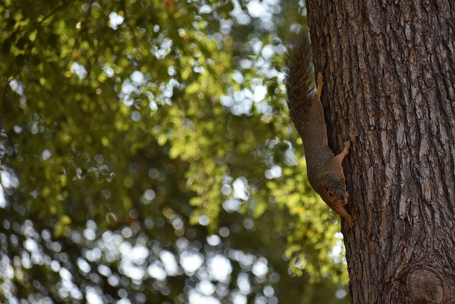 绝不仅仅是 绝不仅仅是