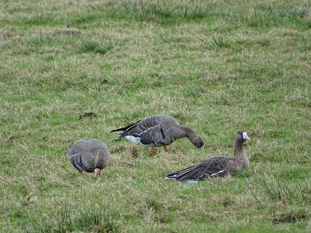 夺得银牌 夺得银牌