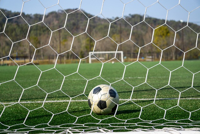 伤病历史是 伤病历史是