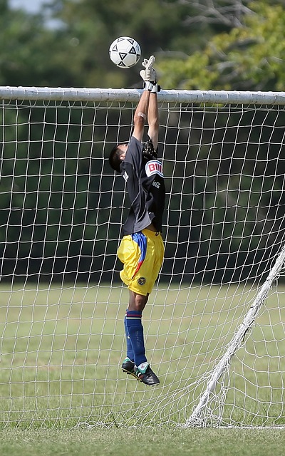 转会市场上 转会市场上